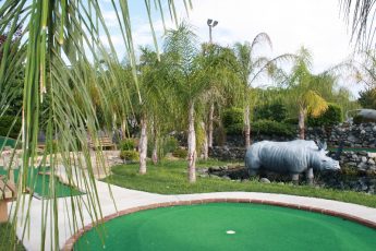 Palms trees at amusement parks' mini golf.