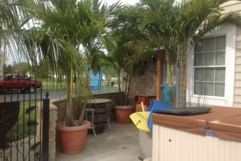 hot tub next to palm trees