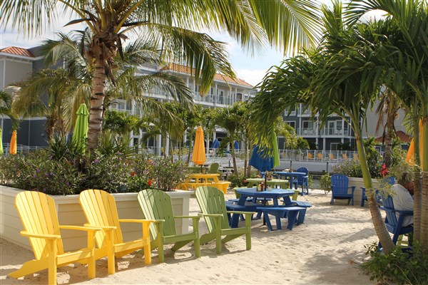 Palm trees added to beach near marinas