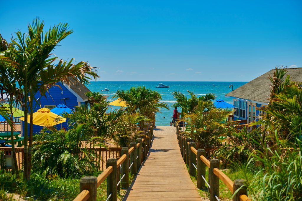 Tropical oasis walkway with palm trees.