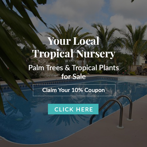 Resort Palms Coupon Pop Up